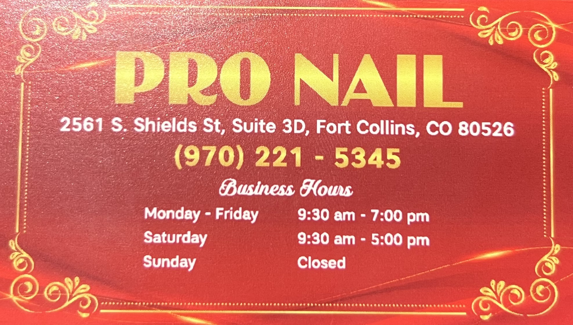 Pro Nails logo